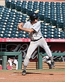 SealsWorldSeries_2015 (240)_8x10